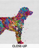 Irısh Water Spaniel Dog Watercolor Print Pet Gift Pet Dog Love Puppy Friend Dog Poster Dog Art Dog Wall Art Doglover Gift Animal Poster-1439 - CocoMilla