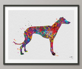 Greyhound Painting, Greyhound Watercolor, Greyhound Print, Greyhound Gift, Dog Lover, Animal Print, Dog Poster, Greyhound Art, Dog Art-886 - CocoMilla