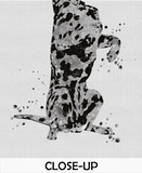 Dalmatian Dog Watercolor Print Pooch Pet Gift Dog Love Puppy Friend Dog Art Customizable Animal Poster Dalmatian Personelized Dogart-1564 - CocoMilla