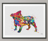 English Bulldog Puppy Watercolor Dog Print Pet Gift Pet Dog Love Friend Dog British Bulldog Dog Art Dog Wall Art Doglover Gift Dog Print-422 - CocoMilla