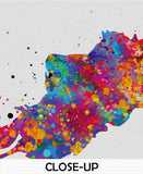 Rorschach Inkblot Test Card 5 Watercolor Print Psychology Psychiatry Psychotherapist Psychological Psychologist Clinic Medical Office-1314