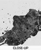 Rorschach Inkblot Test Card 5 BW Watercolor Print Psychology Psychiatry Psychotherapist Psychological Psychologist Clinic Medical Art-1315