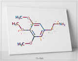 Mescaline Molecule Watercolor Print Chemical Molecule Wall Art Nerd Science Art Biology Medical Art Chemistry Laboratory Medical Clinic-1647