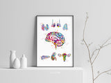 Endocrine Glands Art Watercolor Print Human Anatomy Medical Art Science Office Wall Art Endocrinology Art Endocrinologist Doctor Clinic-1326