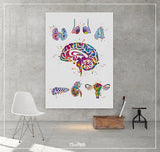 Endocrine Glands Art Watercolor Print Human Anatomy Medical Art Science Office Wall Art Endocrinology Art Endocrinologist Doctor Clinic-1326
