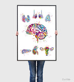 Endocrine Glands Art Watercolor Print Human Anatomy Medical Art Science Office Wall Art Endocrinology Art Endocrinologist Doctor Clinic-1326