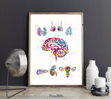 Endocrine Glands Art Watercolor Print Human Anatomy Medical Art Science Office Wall Art Endocrinology Art Endocrinologist Doctor Clinic-1326