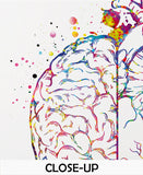 Brain and Heart Balance Watercolor Print Medical Art Science Geek Nerd Gift Neurology Wall Art Artistic Office Psychology PSI Wall Decor-325