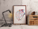 Brain and Heart Balance Watercolor Print Medical Art Science Geek Nerd Gift Neurology Wall Art Artistic Office Psychology PSI Wall Decor-325
