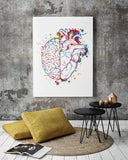 Brain and Heart Balance Watercolor Print Medical Art Science Geek Nerd Gift Neurology Wall Art Artistic Office Psychology PSI Wall Decor-325