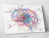 Epilepsy Brain Art Watercolor Print Abstract  Medical Art Science Neurology Brain Cell Psychiatry Therapy Art Doctor Poster Wall Art-1819