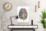Creative Brain Watercolor Print Medical Art Science Art Geek Nerd Neurology Wall Art Artistic Brain Left Right Brain Poster Wall Decor-1118