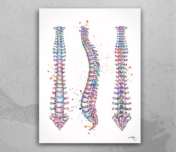 Spine Watercolor Print Human Spine Anatomy Art Medical Art Medicine Neurology Neurosurgeon Neurologist Wall Hanging Doctor Clinic Decor-1013