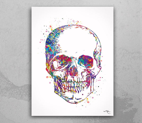 Skull Anatomy Watercolor Print Medical Art Science Art Graduation Gift Anatomy Neurology Human Skull Nurse Science Poster Skeleton Print-973