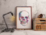 Skull Anatomy Watercolor Print Medical Art Science Art Graduation Gift Anatomy Neurology Human Skull Nurse Science Poster Skeleton Print-973