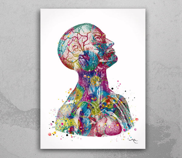 Anatomical Torso Watercolor Print Cardiology Decor Medical Art Print Human Anatomy Art Print Laboratory Decor Doctor Print Wall Hanging-1076