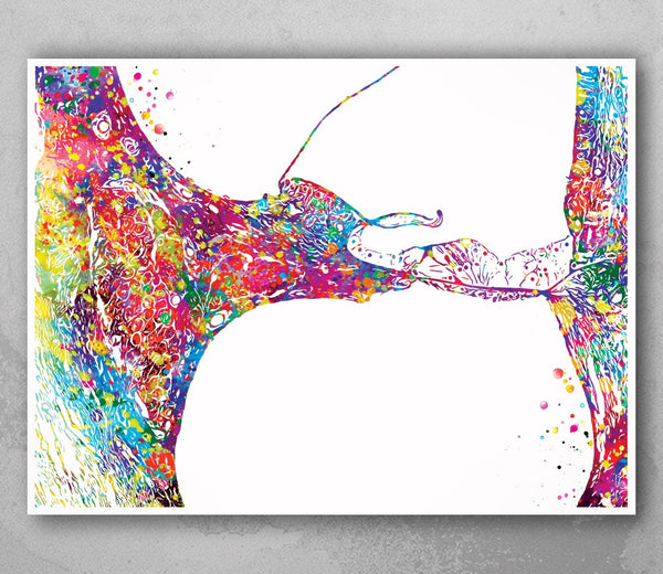 Inner ear Histology Watercolor Print Audiologist Gift Audiology Poster Ear Diagram Anatomical Office Decor Medical Art Histology Art-1150