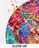 Retinal Vessels Watercolor Print Human Eye Optometrist Optician Poster Optic Medical Art Ophthalmology Blood Vessels Clinic Wall Art-328