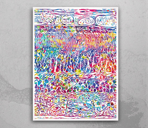 Retina Layers Watercolor Print Human Eye Histology Optometrist Optician Poster Optic Medical Art Ophthalmology Clinic Office Wall Art-1257