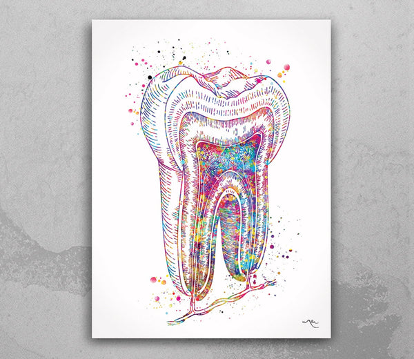 Tooth cross section Watercolor Print Molar Tooth Anatomical Art Dental Clinic Decor Dentistry Student Science Dentist Office Gift Poster-729