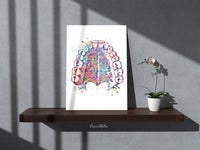 Tooth Anatomy and Palate Watercolor Print  Medical Art Tooth Anatomical Dental Clinic  Cabinet Art Dentistry Dentist Gift Doctor Art-219