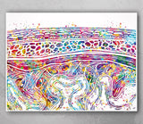 Meninges Watercolor Print Neuron Art Science Gift Neurology Nerve Cell Medical Student Brain Wall Art Neuroscience Gift Clinic Decor-2110