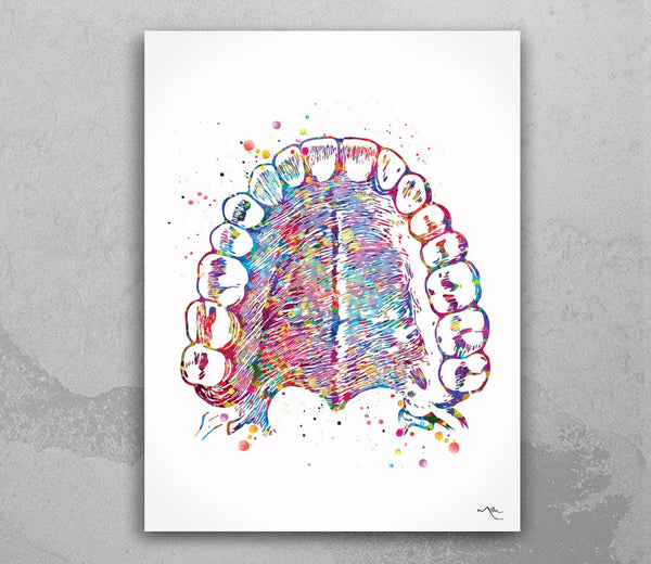 Tooth Anatomy and Palate Watercolor Print  Medical Art Tooth Anatomical Dental Clinic  Cabinet Art Dentistry Dentist Gift Doctor Art-219