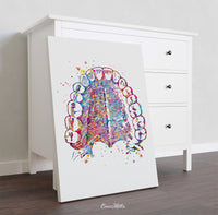 Tooth Anatomy and Palate Watercolor Print  Medical Art Tooth Anatomical Dental Clinic  Cabinet Art Dentistry Dentist Gift Doctor Art-219