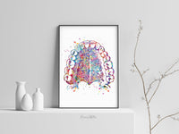 Tooth Anatomy and Palate Watercolor Print  Medical Art Tooth Anatomical Dental Clinic  Cabinet Art Dentistry Dentist Gift Doctor Art-219