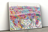 Meninges Watercolor Print Neuron Art Science Gift Neurology Nerve Cell Medical Student Brain Wall Art Neuroscience Gift Clinic Decor-2110