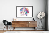 Brain Cranial Nerves Watercolor Print Medical Art Cabinet Neurologist Office Wall Art Neurology Human Brain Neuroscience Wall Hanging-173