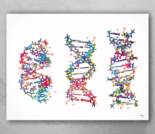 DNA Molecule Watercolor Painting Print Medical Wall Art Nurse Gift Medical Art Science Art Dorm Gift for Doctor Laboratory Decor Biology-849
