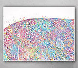 Ovary Histology Watercolor Print Gynecology Anatomy Medical Gynecologist OBGYN Female Reproductive System IVF Medical Art Office Decor-450