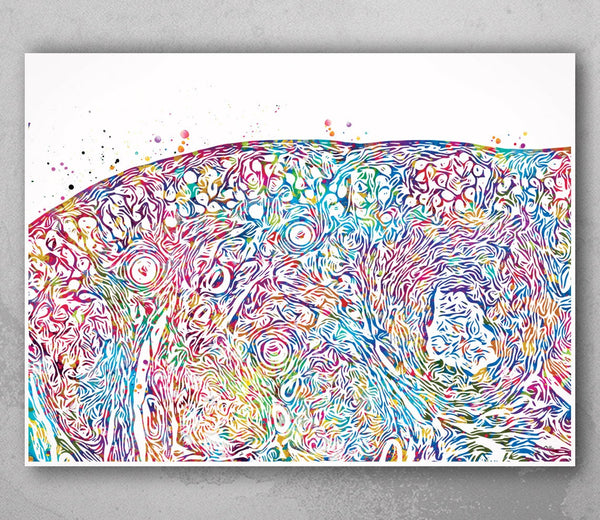 Ovary Histology Watercolor Print Gynecology Anatomy Medical Gynecologist OBGYN Female Reproductive System IVF Medical Art Office Decor-450