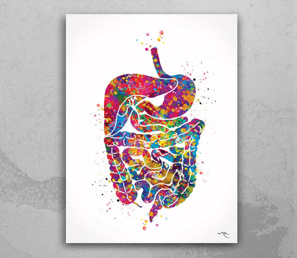 Digestive System Watercolor Print Human Organs  Gastrointestinal Tract Clinic Decor Art Student Graduaiton Gift Medical Doctor Art Gift-1048