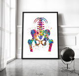 Pelvis and Vertebrae Watercolor Print Sacrum Hip Anatomy Orthopedic Skeletal System Femur Medical Art Poster Clinic Spine Chiropractic-197