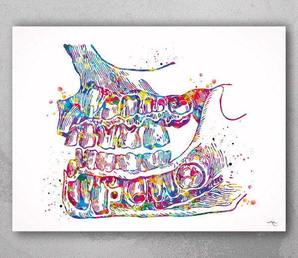 Dentist Art Watercolor Print Teeth Anatomy Tooth Anatomical Art Dental Clinic Decor Art Dentistry Office Graduaiton Dentist Poster Gift-2148