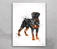Rottweiler Dog Black Watercolor Print Rottweiler Poster Gift Doglover Puppy Friend Security Dog Bodyguard Animal Dog Poster Dog Art-1507