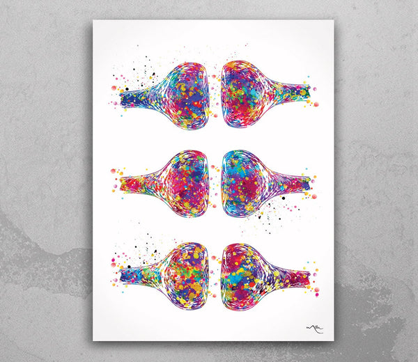 Synapses Watercolor Print Science Neurology Synapse Receptor Neural Nerve Cell Medical Art Brain Neurotransmitters Clinic Decor Gift-1097
