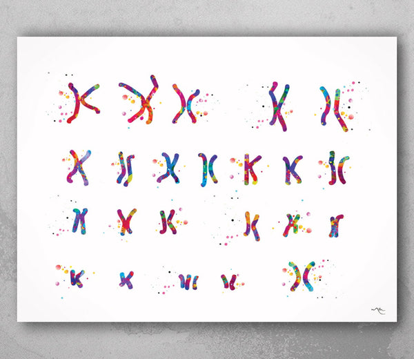 Female Chromosome Down Syndrome Watercolor Print Karyotype 21st Chromosome Medical Art Wall Art Nurse Gift Laboratory Science Genetic-384
