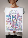 Molar Tooth Cross Section Watercolor Print Teeth Medical Art Surgeon Dental Clinic Office Decor Gift Dentist Dentistry Canvas Wall Art-730