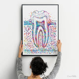 Molar Tooth Cross Section Watercolor Print Teeth Medical Art Surgeon Dental Clinic Office Decor Gift Dentist Dentistry Canvas Wall Art-730