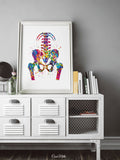 Pelvis and Vertebrae Watercolor Print Sacrum Hip Anatomy Orthopedic Skeletal System Femur Medical Art Poster Clinic Spine Chiropractic-197