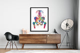 Pelvis and Vertebrae Watercolor Print Sacrum Hip Anatomy Orthopedic Skeletal System Femur Medical Art Poster Clinic Spine Chiropractic-197