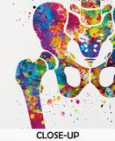 Pelvis and Vertebrae Watercolor Print Sacrum Hip Anatomy Orthopedic Skeletal System Femur Medical Art Poster Clinic Spine Chiropractic-197