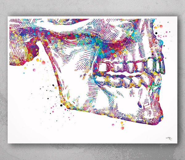 Tooth Anatomy Watercolor Print Teeth Anatomy Art Vintage Art Dental Clinic Decor Art Dentistry Student Surgery Dentist Gift Doctor Art-570