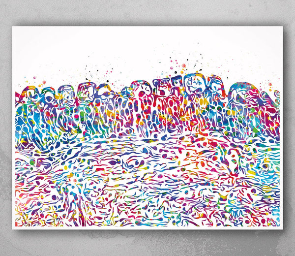 Bladder Histology Watercolor Print Human Anatomy Male Reproductive Anatomy Bladder Penis Clinic Decor Urology Medical Art Office Decor-2205