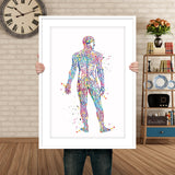 Nervous System Watercolor Print Circulatory System Human Veins Brain Anatomy Medicine Art Neurology Clinic Office Wall Art Medical Art-695