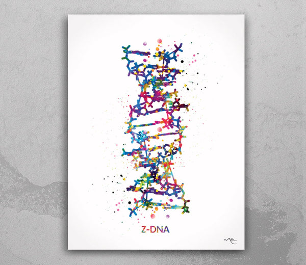 DNA Molecule Z-DNA Watercolor Print Medical Wall Art Nurse Gift Medical Art Science Art Clinic Gift Doctor Genetic Laboratory Biology-1055