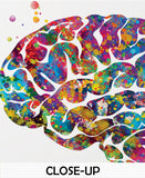Brain Health Watercolor Print Mental Health Medical Art Science Art Wall Decor Wall Art Neurology Human Brain Anatomy Gift Wall Hanging-288